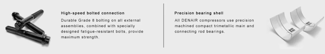 High Pressure 250 Bar 25MPa CNG Station Booster Piston Reciprocating Natural Gas Compressor for Sale