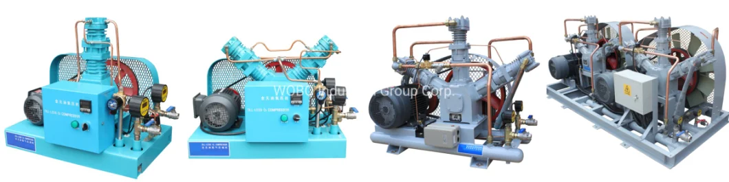 Skid-Mounted 20m3/H 30m3/H Totally Oil Free Hydrogen Nitrogen Oxygen Booster